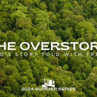 The Overstory - God's Story Told With Trees
